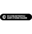 cci lyon, developpement territoire